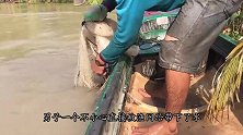 水沟黑压压一片，小伙一网子下去，水面瞬间沸腾了！