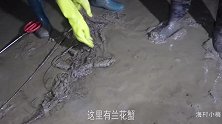 大退潮赶海闯入“龙虾窝”，发现遍地海鲜窝在石缝，抓都抓不过来