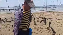 连青蟹都要身体浮漂，到底什么原因了