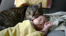 小宝宝睡觉，大猫咪就趴在一旁看着，仿佛这是自己的崽一样