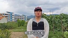 这种厨房废水用来种韭菜，韭菜割完一茬又长一茬，今天才弄明白