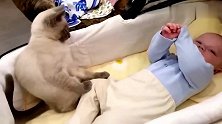 小宝宝扑腾个没完，边上猫咪立马一爪子按住：嘿，你给我老实点！