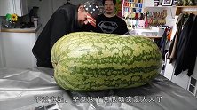 男子农博会上重金拍下“西瓜王”回来切开以后，脸都气绿了