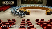 联合国作出重要决定，6国将被取消投票权，都是美国开了坏头