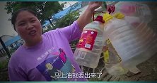 胖妹被人夸美女乐滋滋，回家给大洋烧地锅鱼，大洋夸老婆变美啦
