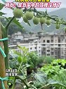 四川宜宾：大叔家的顶楼，种满各种瓜果蔬菜