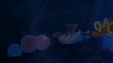 虹猫蓝兔海底历险记：小丑鱼在沉船残骸里和虹猫捉迷藏
