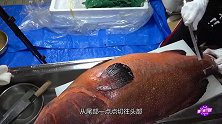 小伙买回石斑“鱼王”，一刀切皮，内里银白似纺纱，赚到了！