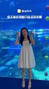教你去海洋馆如何拍摄氛围感大片，快让你的秘书学起来！来点黄油 九宫格线 海洋馆 拍照姿势