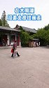 济南大明湖长出并蒂莲 关注我不迷路，让我带你一起去沾好运吧！ 2021好客山东游品荟 政媒原创作者联盟