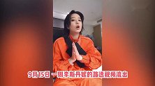 李斯丹妮跳《酒醉的蝴蝶》，摇摇晃晃真实还原喝酒的蝴蝶，画风可可爱爱