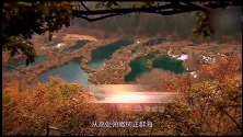 走进九寨沟之四：树正群海，镶嵌在深山幽谷中的碧绿的翡翠！