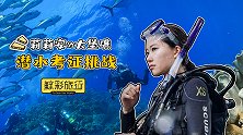 上课也能这么享受，大堡礁潜水考证之旅