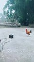 这就是爱情，你摊上事了！