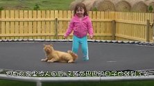 1岁宝宝咬住猫咪尾巴，猫咪吃痛大叫，但接下来的反应太暖了！