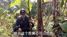什么？芭蕉心还能吃，吃起来还脆脆甜甜的，你吃过吗