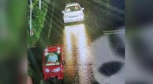 嫌疑人抓到了!临沂12岁女孩为父追凶 ：最疼我的爸爸被撞死了