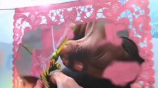 地面天天拖还脏，水里加点它，地面干净无水印，速干无静电，厉害