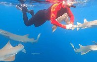 摄影师马尔代夫与鲨鱼一起潜水 差点被觅食鲨鱼咬掉手
