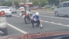 四川自贡：猫咪过马路吓到不敢动，警察蜀黍这个举动暖化了