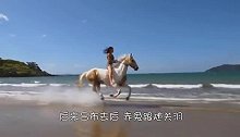 猫咪和汗血宝马从小一起长大，关系很亲密，还让它骑在自己背上