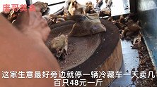 扬州某条街几十家卖卤老鹅，48元一斤旁边有台冷藏车日卖几百只