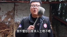 140元买3斤羊排，熬羊肉汤，汤鲜味美，步骤还简单，不膻不腻