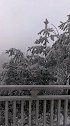 天子山欢迎你