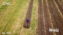 《延时·中国》贵州余庆：田间地头春耕忙