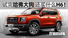 试完哈弗大狗 还买什么H6！｜反套路试车