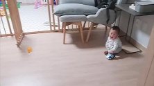 小宝宝追着玩具满屋爬，画面好可爱好热闹！
