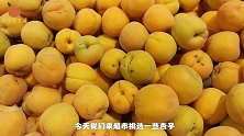 挑选杏子有诀窍，记住几点，个个新鲜又香甜，学会再也不会买错
