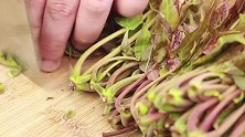 储存香椿芽千万不要放冰箱冷藏，学会这种方法，香椿鲜嫩不变质