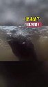 独家水下视频来啦！用另一个视角来看看水下的“瓜瓜”