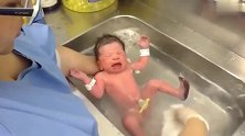 护士给刚出生的小宝宝洗澡澡，小宝宝好可爱！