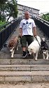 正确的溜狗方式！爆冲不可能！任何地方都要做到人停狗停哈士奇 萨摩耶 马犬 宠物 涛哥训犬