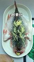 蒸鱼多做这一步，没有半点腥味，肉质鲜嫩