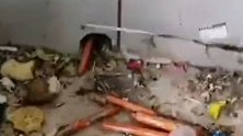 老鼠也要囤年货？商店火腿肠一夜失踪 老鼠洞掏出一箱火腿肠