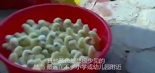 街边五颜六色的2元小鸡到底是怎么来的看完很气愤，让人后怕
