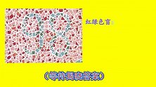 驾考常考的几张色觉测试图，不能识别很可能就和驾考无缘了