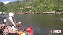 黑坑钓鱼如何连杆？钓鱼高手分享黑坑连竿飞鱼的技巧！