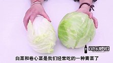 大白菜和卷心菜用不用每片都洗老菜农现场告诉我答案，早知早好