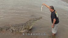 男子将自己关进铁笼，沉入水中挑衅鳄鱼，围观的游客一阵揪心！