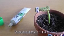 把捕蝇草和蝎子放在一起会怎样？老外大胆实测，3秒后意外了！