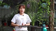 上盆兰花时，植料拌基肥好还是不拌好？看完又学到一招