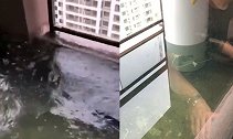 浙江一业主的新房变成“海景房” 开发商称因为下雨天