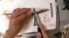 《舌尖上的美食》新鲜梭鱼制作鱼干的切法，处理得真干净！