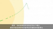 科学家在这个奇怪星球的核心发现了雪