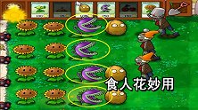 植物大战僵尸4：强迫症福音，强大整齐的团队，食人花的妙用