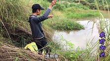 跟朋友野塘用蚯蚓钓鱼，连续拉上来的都是塘角鱼多，他钓鱼好厉害